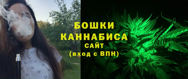 прущие грибы Верхний Тагил