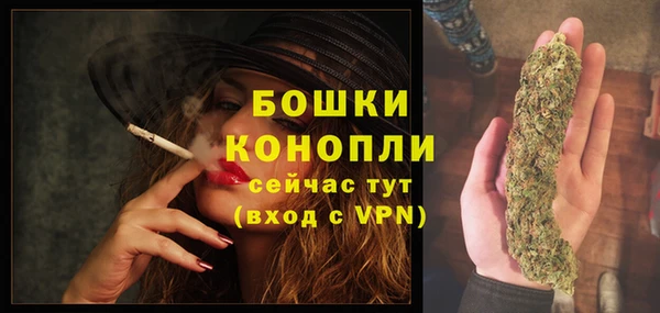 прущие грибы Верхний Тагил