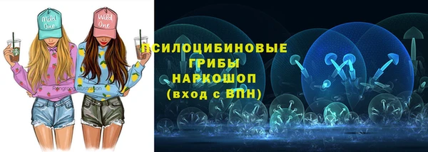 хмурый Богородицк