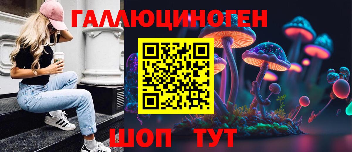 Унеча  купить   Вход с VPN  Галлюциногенные грибы мухоморы 